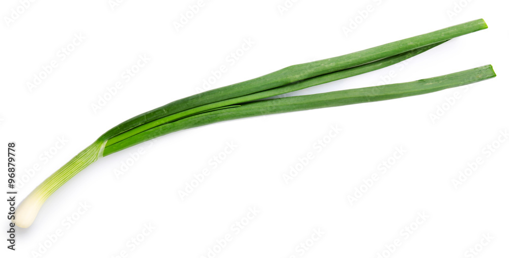 Fresh green onion isolated on white background