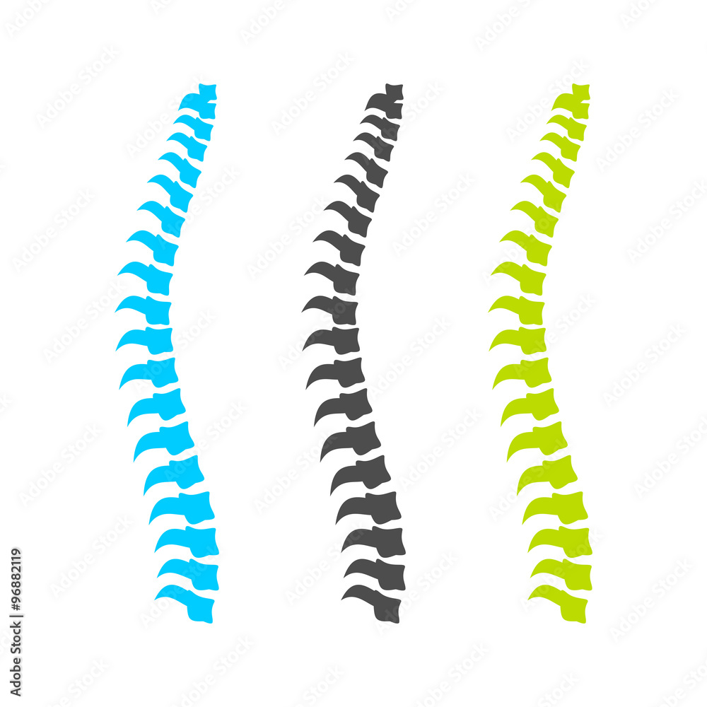 Spine Graphic Set