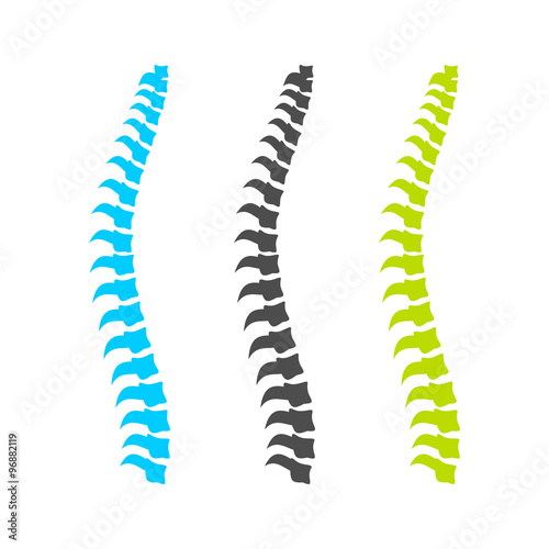 Spine Graphic Set