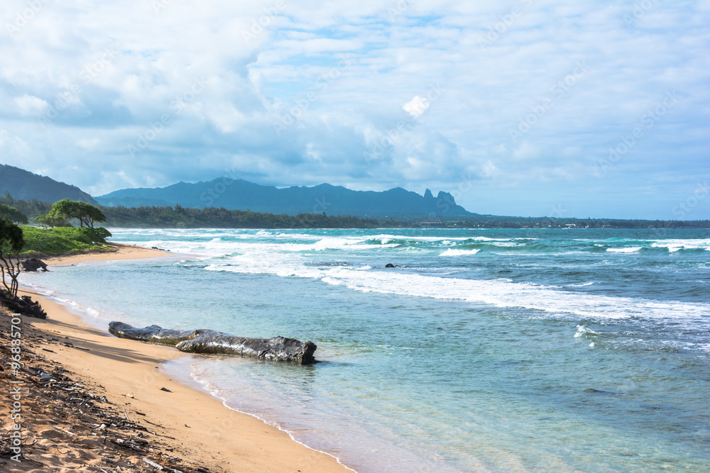 Fototapeta premium Kauai beach, Hawaii