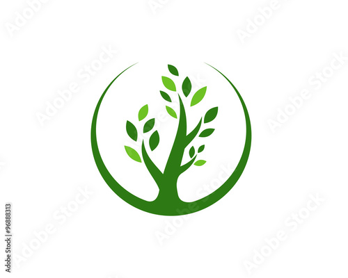 Green tree leaves