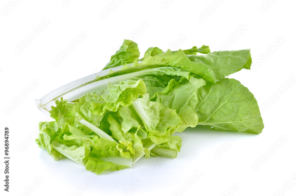Fresh green lettuce sliced on white background Fresh green lettuce sliced on white background