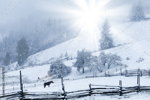 Beautiful winter mountains landscape © Dmytro Kosmenko