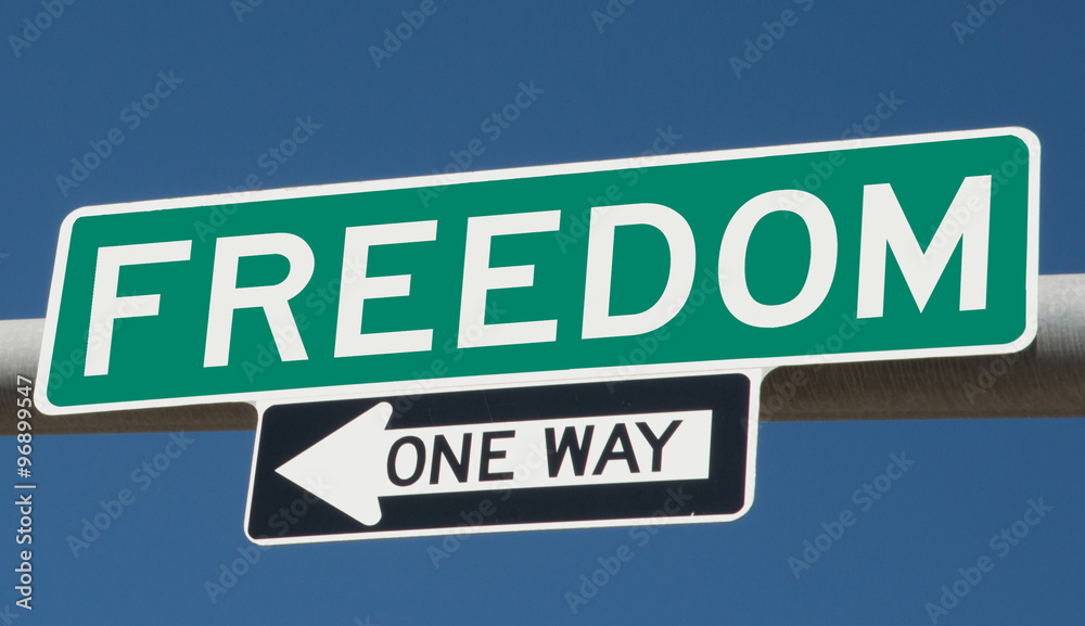 Freedom printed on green overhead highway sign with one way arrow 