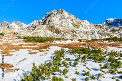 View of mountains covered with snow in autumn landscape of Hincova valley  Tatra Mountains  Slovakia