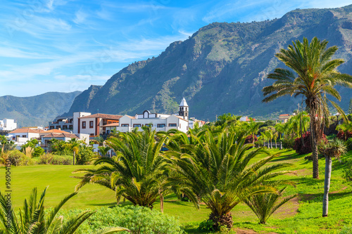Tropical palm trees in mountain landscape of northern Tenerife with Buenavista del Norte town in distance, Canary Islands, Spain photo