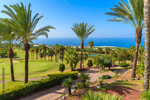 A view of tropical landscape with palm trees on Tenerife, Canary Islands, Spain