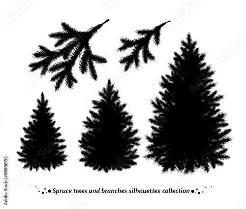 Spruce trees silhouettes