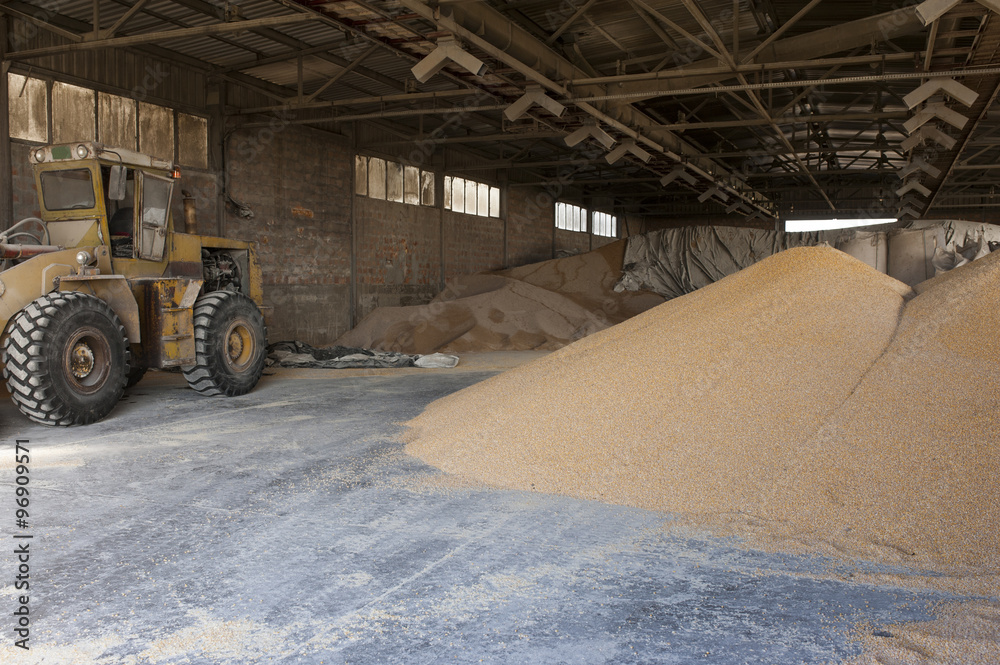 Fototapeta premium Farm with silo and storage space and some machinery