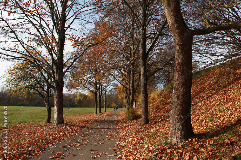 Naklejka premium Autumn Park