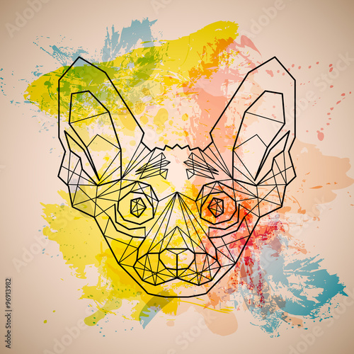 Head of Cat breed sphinx in linear design on colorful spots