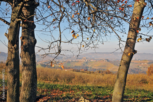 Le colline delle Langhe in autunno a Sinio,  Langhe - Piemonte photo