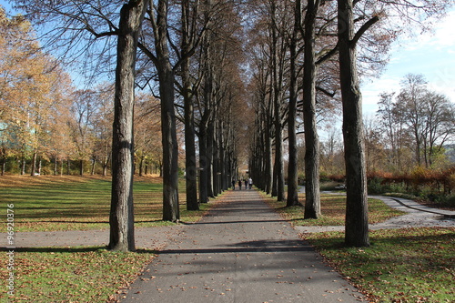 Autumn Park
