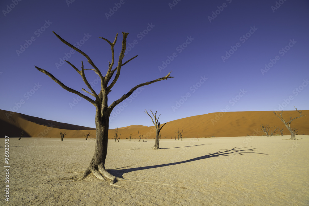 Deadvlei, or Dead Vlei, in Sossusvlei, Namibia Deadvlei, or Dead Vlei, in Sossusvlei, Namibia