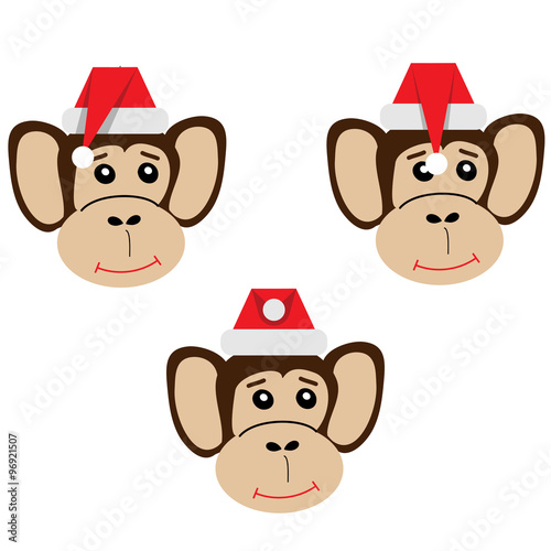Monkey-symbol of 2016 year in a Christmas hat 
