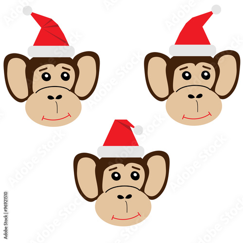 Monkey-symbol of 2016 year in a Christmas hat 