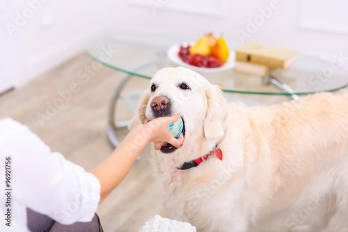 Nice woman playing with her dog