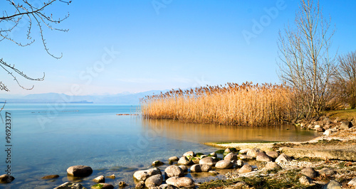 Reeds and the lake are peaceful
