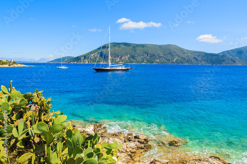 Tropical plants on coast of Kefalonia island with luxury yacht boat on sea in background, Greece