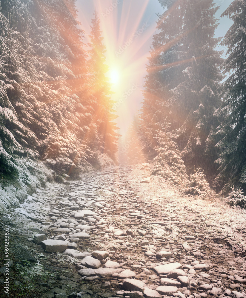 first snow in the autumn