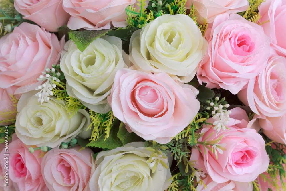 rose rose