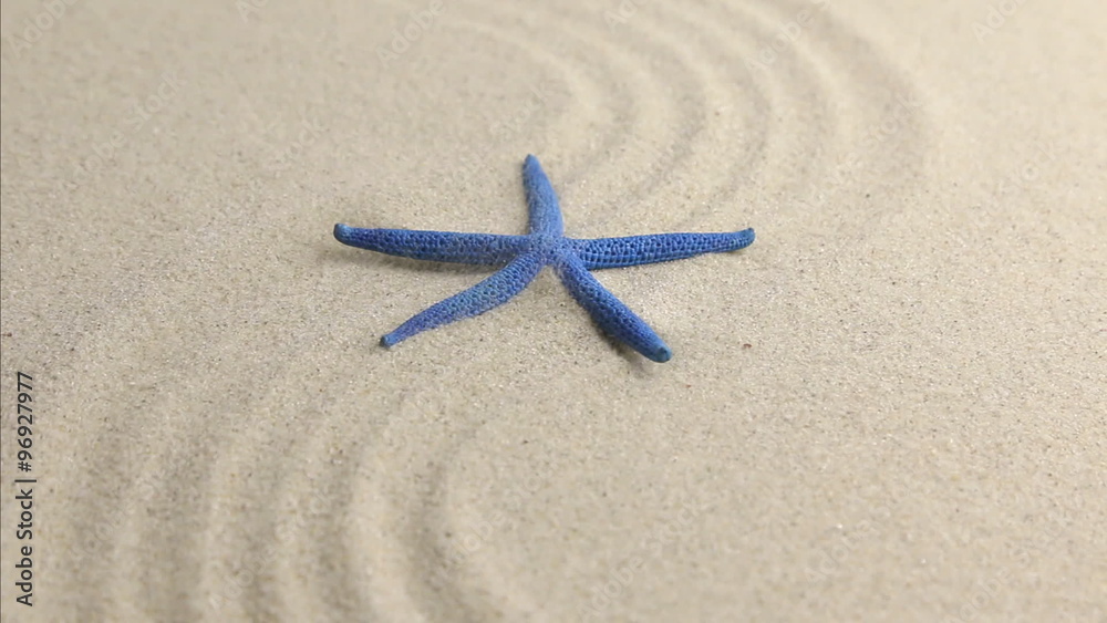 Blue starfish lying on the undulating sand beach Blue starfish lying on the undulating sand beach