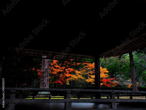 世界遺産　平泉　中尊寺の紅葉 photo