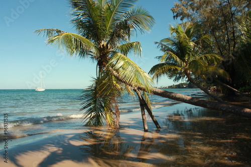 tropical landscape , Thailand