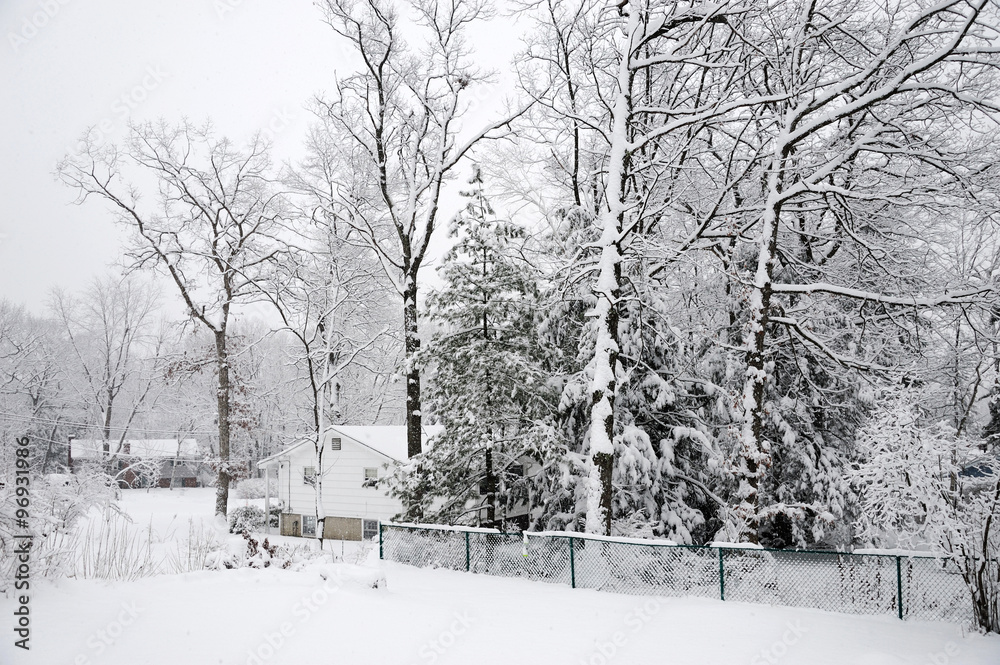 Naklejka premium backyard trees after snow