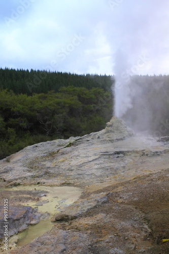 Lady Knox Geyser