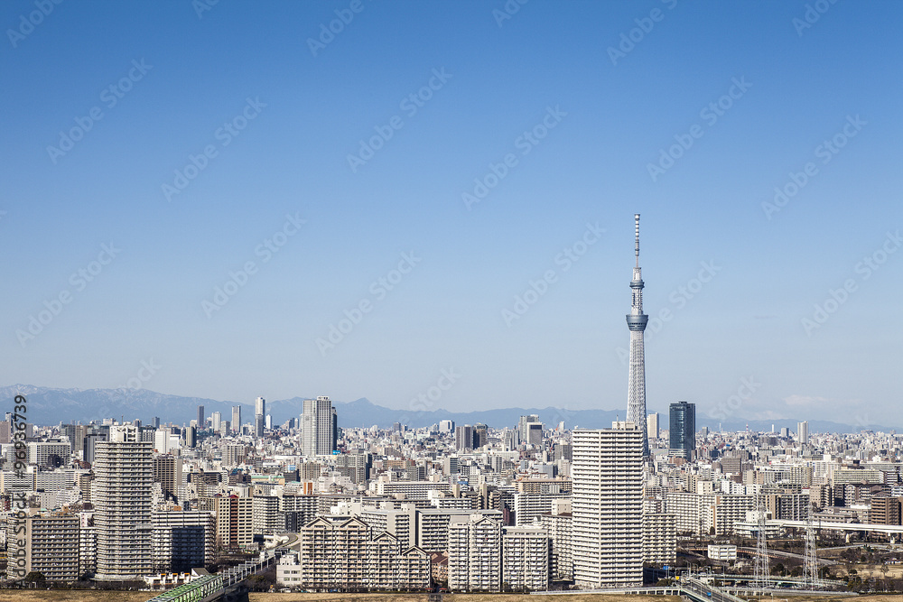 高層ビルと東京スカイツリー