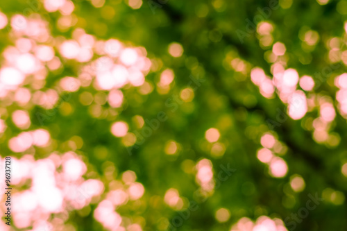Abstract bokeh background from nature