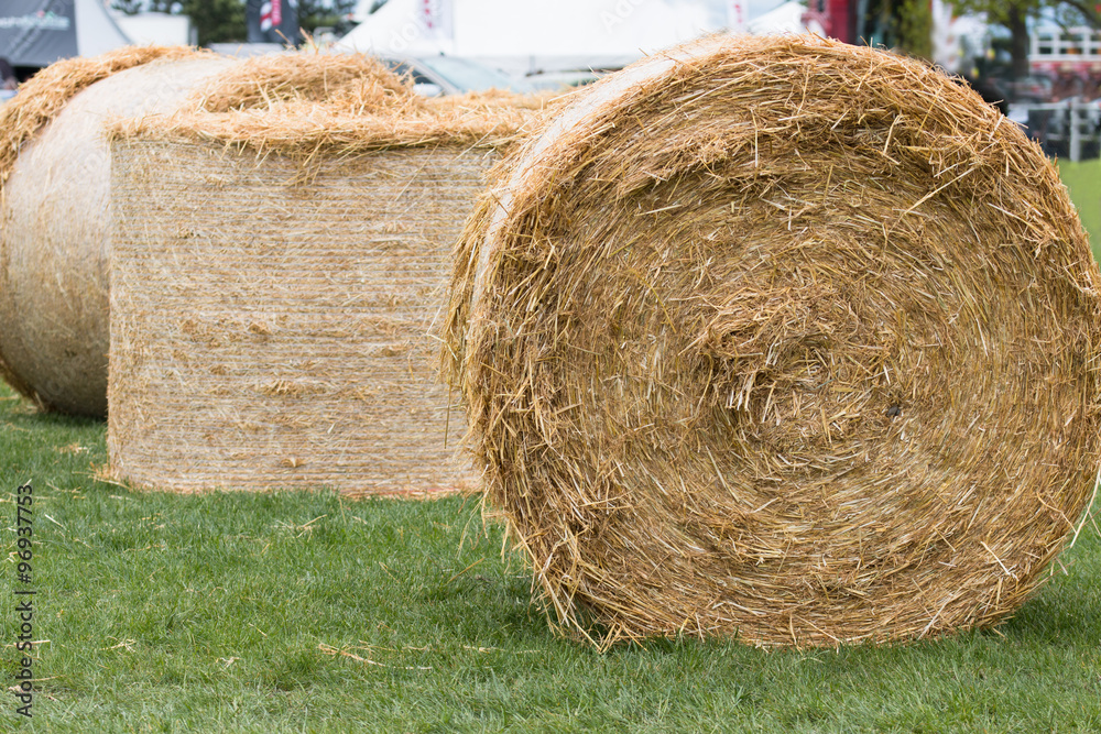 Three hay bales on the grass