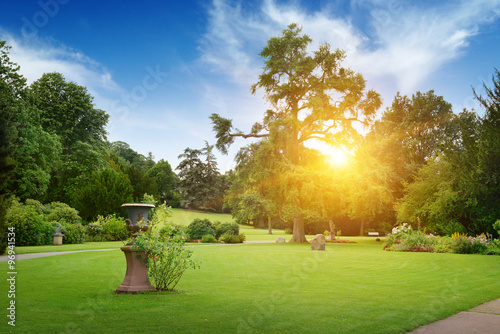 Fototapeta Naklejka Na Ścianę i Meble -  Sunrise in beautiful summer park