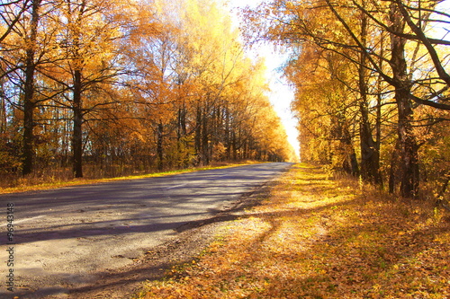 Stunning autumn road