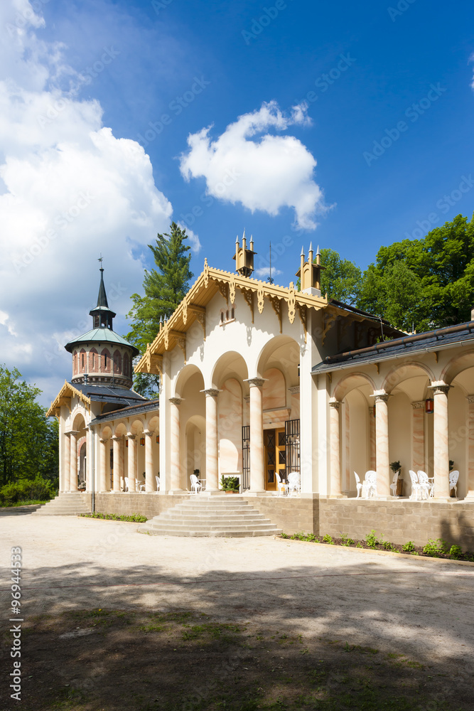 Obraz premium Palace Sychrov - Castle of Arthur, Czech Republic
