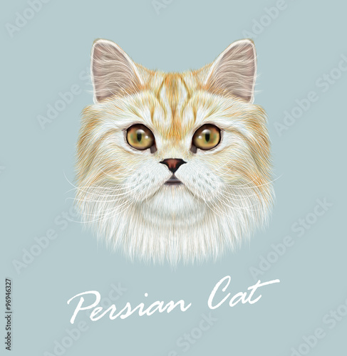 Persian cat purebred animal cute face. Vector funny white tabby vanilla cat head portrait. Realistic fur portrait of green eyes white Persian kitten isolated on blue background.