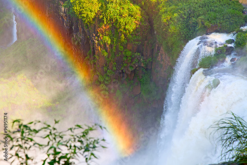 Iguazu falls