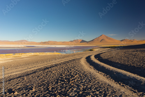 Tourist at "Laguna Colorada" on the Bolivian Andes