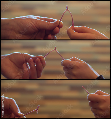 Wishbone in the family game Get and Rememner, Christmas