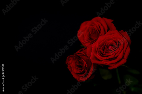 Three roses on black background, out of focus