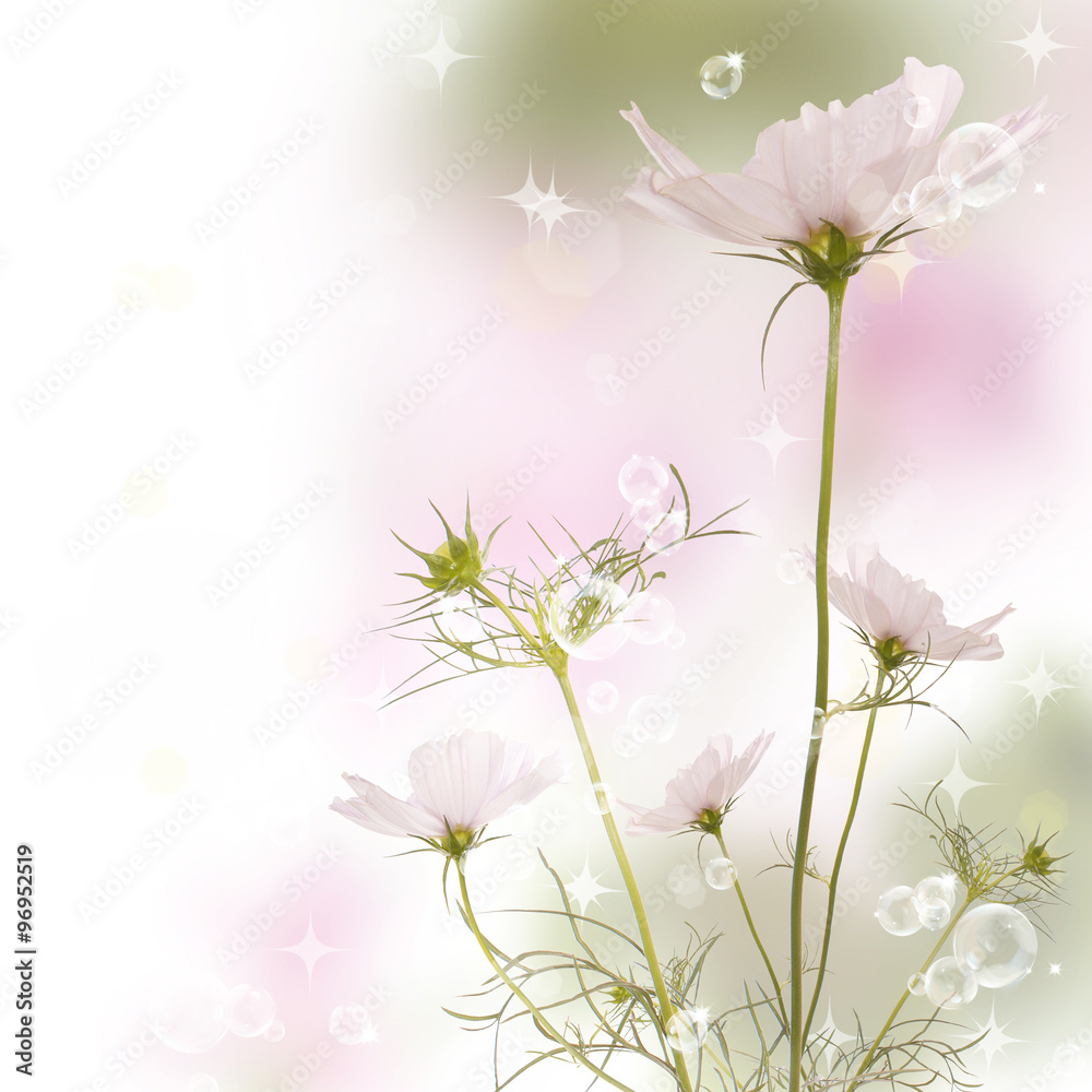 Fototapeta premium Flowers on abstract blur spring nature background