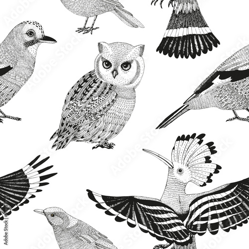 vector hand drawn seamless pattern with wild birds