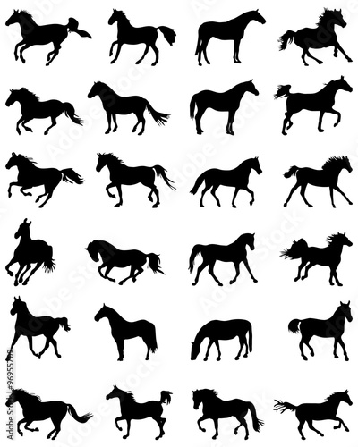 Big set of horses silhouettes
