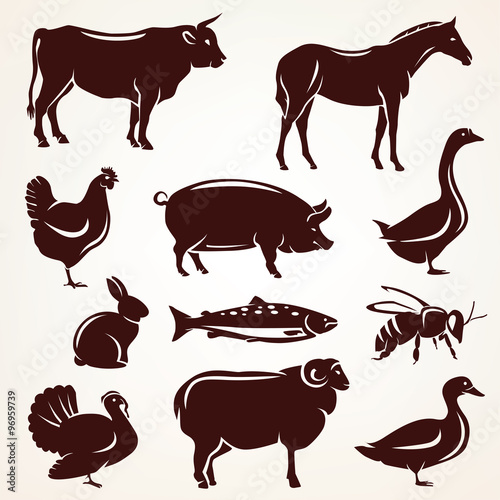  farm animals silhouette collection, vector icons and agricultur