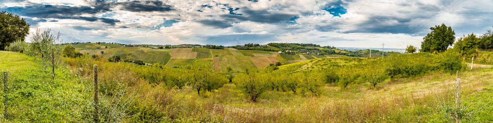 Agriculture and nature in Romagna hills