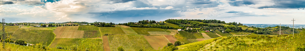 Agriculture and nature in Romagna hills