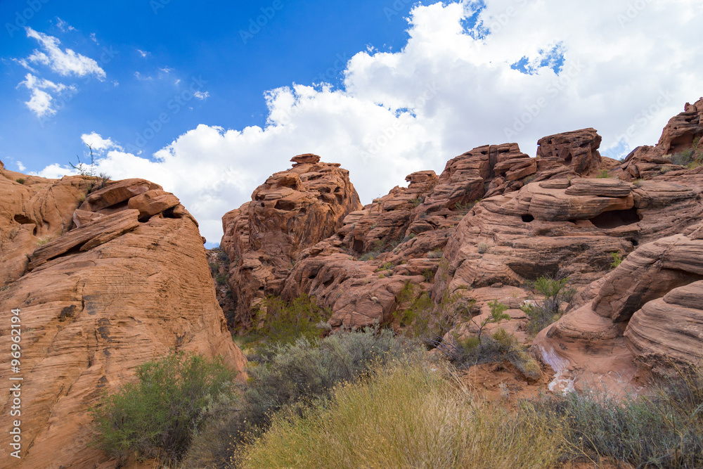 Fototapeta premium Red Rock Landscape, Valley of Fire State Park, Nevada, USA