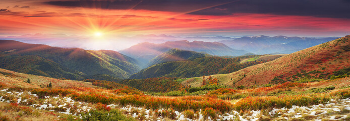 Leinwandbilder Purpur Golden colors of autumn  © panaramka