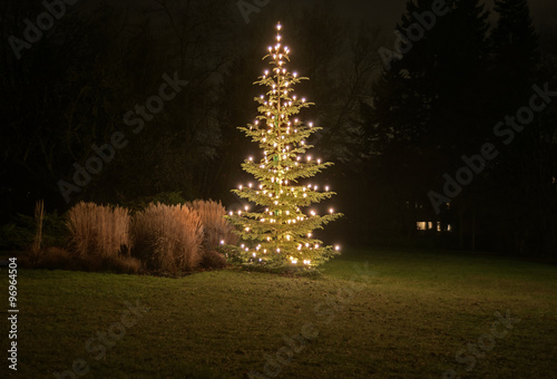 Weihnachtsbaum mit Beleuchtung